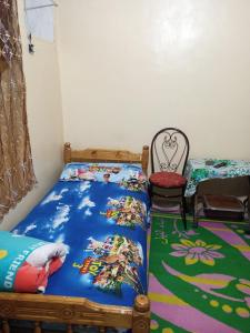 a bedroom with a bed and a chair in it at HORUS Nubian Guest House in Aswan