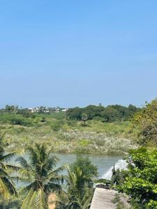 un río con palmeras junto a un campo en RIVER VIEW HOME STAY SERVICE APARTMENT en Madurai