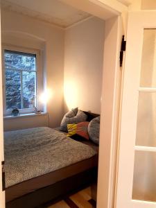 ein kleines Schlafzimmer mit einem Bett und einem Fenster in der Unterkunft Ferienwohnung am Schloss Colditz in Colditz