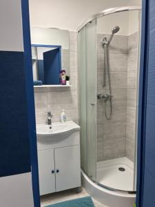 Kúpeľňa v ubytovaní City Center Apartman 2. Nagykanizsa