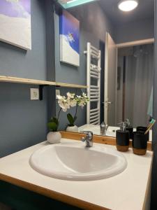 La salle de bains est pourvue d'un lavabo blanc et d'un miroir. dans l'établissement Chez Nello et Zia, à Termignon