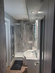 ein Bad mit einer Dusche, einem Waschbecken und einem WC in der Unterkunft Sister's Studio in Llanelli