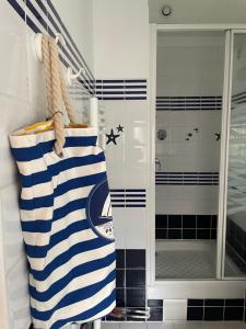 La salle de bains est pourvue d'une douche et d'une serviette bleue et blanche. dans l'établissement Studio au calme dans jardin à 30min de Paris avec NOUVELLE LITERIE, à Chatou