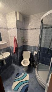 Koupelna v ubytování Vila Vítkovice-Krkonoše