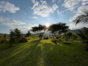 a field with trees and the sun in the sky at Likit Kirin Khao Kho in Phetchabun