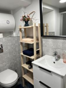 a bathroom with a sink and a toilet and a mirror at GREEN Apartment in Riga