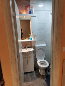 ein kleines Badezimmer mit Toilette und Waschbecken in der Unterkunft Extra Fruske in Vrdnik + 25 Fotos