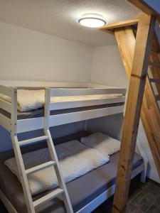 Haus Petit Chateau في Sehestedt: سرير بطابقين مع سلم في الغرفة