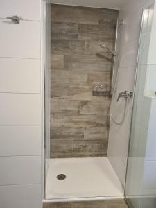a shower with a glass door and wooden wall at Haus Petit Chateau in Sehestedt