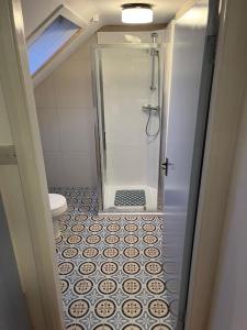 ein Bad mit einer Dusche und einem WC in der Unterkunft Glencree Air in Kilmeaden