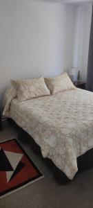 um quarto com uma cama com um edredão e almofadas em santiago centro em Santiago