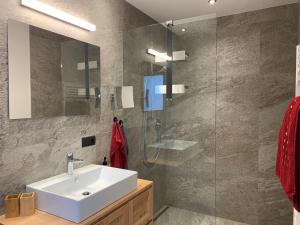 ein Bad mit einem Waschbecken und einer Glasdusche in der Unterkunft WALD-Apart am Rosenhof in Nauders