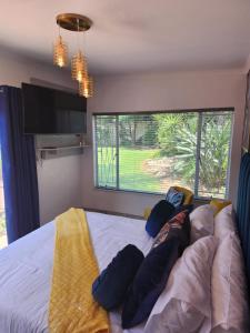 SiBella guest house في بلومفونتين: غرفة نوم بسرير ومخدات ونافذة