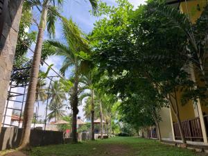 a row of palm trees in front of a building at Handagedara Resort & Spa in Mirissa
