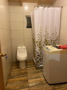 y baño con aseo y cortina de ducha. en Cabañas Aliwen isla Quehui, en Castro