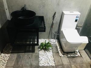 a bathroom with a toilet and a plant in it at Winwood Ella in Ella