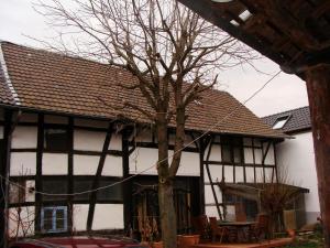 ein Haus mit einem Baum davor in der Unterkunft Cottage Hühnerstall in Zülpich