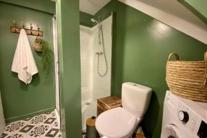 a bathroom with green walls and a toilet and a shower at L'Expédition - By BEST KEYS - Expérience Unique - Déco Immersive - Lit Queen Size & Canapé Convertible - Centre Ville - Smart TV - Machine à Café Nespresso - Netflix & WiFi ILLIMITÉ - Check-in Autonome - Parking Gratuit in Villeneuve-sur-Yonne +15 photos