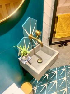 baño con lavabo y planta en Station Masters Cottage, en Hope