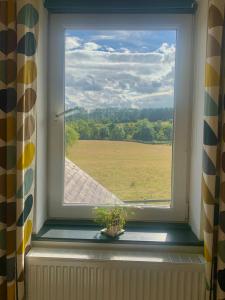 a window with a potted plant on a window sill at Station Masters Cottage in Hope