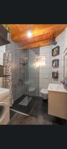 a bathroom with a shower and a toilet and a sink at Ferienhaus Vienna REM in Prokosovići