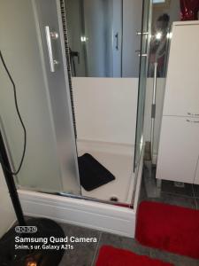 La salle de bains est pourvue d'une douche avec une porte en verre. dans l'établissement Emi2, à Crikvenica