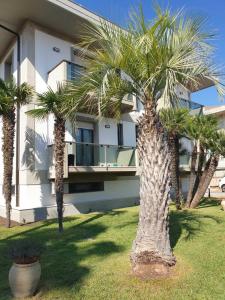 eine Palme vor einem Gebäude in der Unterkunft Geltrude in Avola + 47 Fotos