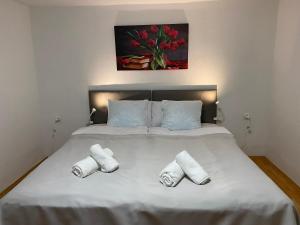 Galeriebild der Unterkunft FIA House in Skopje + 23 Fotos