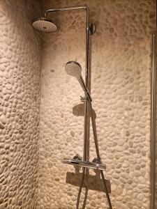 a shower with a shower head in a bathroom at SWANder in Damme