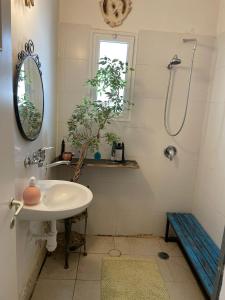 Bagno di יסמינא- נוף למכתש רמון