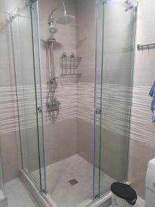 a shower with a glass door in a bathroom at Lucky home in Nizhnyaya Alekseyevka