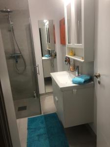 a bathroom with a shower and a sink and a mirror at Spatzennest in Bad Harzburg