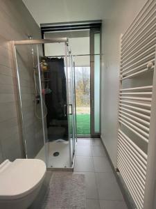 ein Bad mit einem WC und einer Glasdusche in der Unterkunft Esclusivo loft con winter-garden in Assago