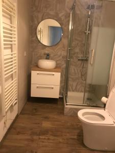 La salle de bains est pourvue d'une douche, d'un lavabo et de toilettes. dans l'établissement Les Clémentaines Lyon-Villeurbanne, à Villeurbanne