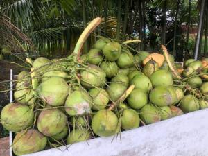 Fotografie z fotogalerie ubytování Durian Ecolodge v destinaci Tampin