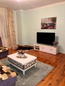 TV a/nebo společenská místnost v ubytování Stan na dan Pale Jahorina + 5 fotografií