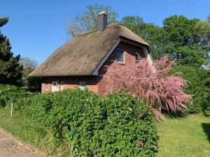 an old house with a thatched roof and some bushes at Ferienhaus Clara in Benz