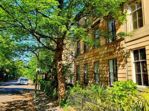 グラスゴーにあるUnique Victorian Home in Glasgowの横道の木