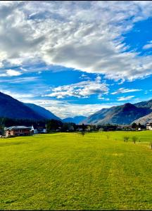 a large green field with mountains in the background at Unterschlupf in Ebensee