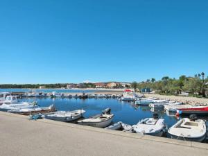 a bunch of boats are docked in a marina at Joso Dalmatia in Vir