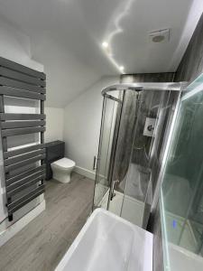 a bathroom with a shower and a sink and a toilet at Premier 1 Bed Studio B in Broxburn