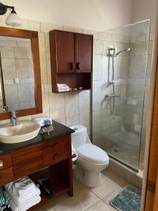 un bagno con wc, lavandino e doccia di 2 Bedroom Penthouse, Ocean Dream, Cabarete a Cabarete
