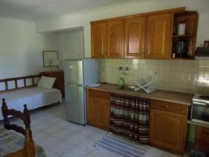 cocina con fregadero, nevera y cama en Villa Mina, en Potistika