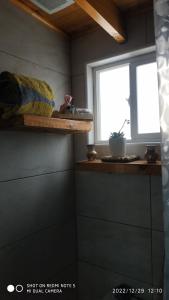 baño con ventana y estante con planta en Loft para 2 en concón, en Concón