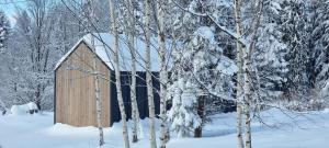a wooden shed in the snow with trees at Level780 in Koszarawa