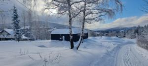 a snow covered yard with a building and a tree at Level780 in Koszarawa
