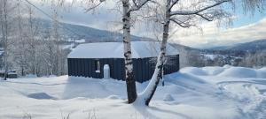 a black building covered in snow next to a tree at Level780 in Koszarawa