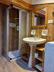 a bathroom with a sink and a shower at Chalet Relax in Pozza di Fassa