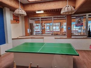 Stolní tenis v ubytování LOVErbier with pool, best location! nebo okolí