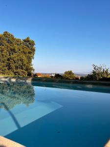 a swimming pool with blue water and trees in the background at Quinta da Porta - Solar de Vale de Prazeres in Vale de Prazeres